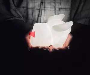 卡普空推出《奇怪龍造型小夜燈》是我內心汙濁總覺得這東西長得像飛機杯嗎？