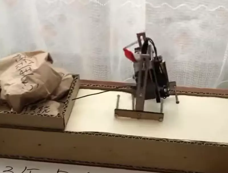 網友的暑假自由研究課題《請不要太欺負人》看完連老師也只能苦笑著點點頭 網友的暑假自由研究課題《請不要太欺負人》看完連老師也只能苦笑著點點頭