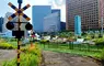 《日本駕訓班廢墟》改造成快閃公園再利用 辦活動還能一邊體驗末世感