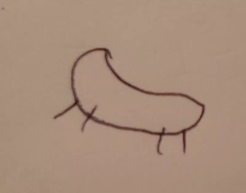 《老婆叫我買這個》這究竟是什麼東西呢？日本網友提出各種千奇百怪的解釋……