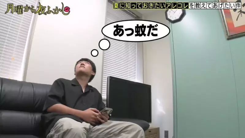 夏天冷知識《如何更有效的抓住蚊子》還有被蚊蟲叮咬後做什麼可以消除癢癢感的方法