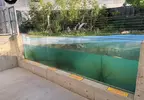 《竹島水族館》的壓克力玻璃警告說明 由於寫得太過直白而引起網友注意