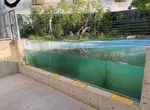 《竹島水族館》的壓克力玻璃警告說明 由於寫得太過直白而引起網友注意