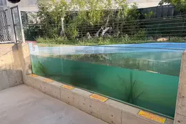 《竹島水族館》的壓克力玻璃警告說明 由於寫得太過直白而引起網友注意 《竹島水族館》的壓克力玻璃警告說明 由於寫得太過直白而引起網友注意