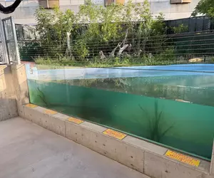《竹島水族館》的壓克力玻璃警告說明 由於寫得太過直白而引起網友注意