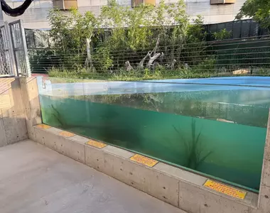 《竹島水族館》的壓克力玻璃警告說明 由於寫得太過直白而引起網友注意