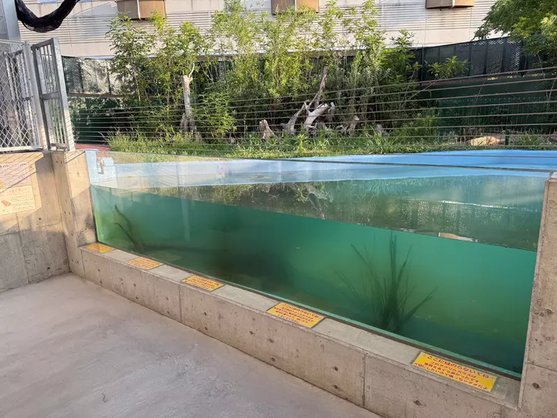 《竹島水族館》的壓克力玻璃警告說明 由於寫得太過直白而引起網友注意