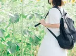 元自衛隊成員想出的消暑妙招 在後背包墊一塊人工草皮，即便滿身大汗也能保持透氣性