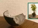 破掉的茶碗再利用 也許轉念一想還能成為美美的花器