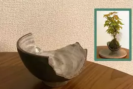破掉的茶碗再利用 也許轉念一想還能成為美美的花器 破掉的茶碗再利用 也許轉念一想還能成為美美的花器