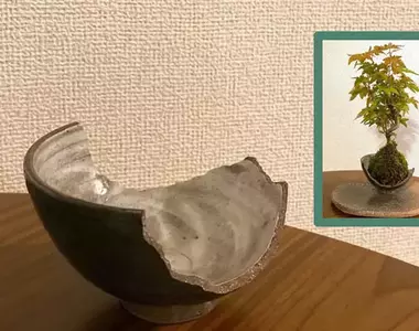 破掉的茶碗再利用 也許轉念一想還能成為美美的花器