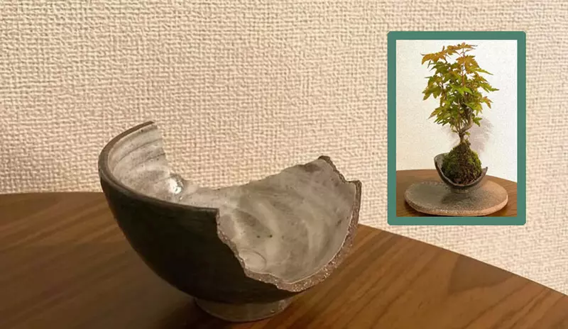 破掉的茶碗再利用 也許轉念一想還能成為美美的花器