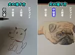 初心者VS老手的畫畫技術 網友用四種階段表現畫畫功力的高低