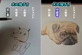 初心者VS老手的畫畫技術 網友用四種階段表現畫畫功力的高低 初心者VS老手的畫畫技術 網友用四種階段表現畫畫功力的高低