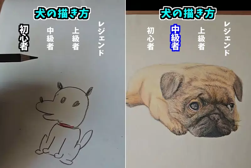 初心者VS老手的畫畫技術 網友用四種階段表現畫畫功力的高低