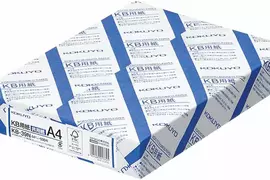 《影印紙BL》她將自己推的CP投射到A4與B5紙上 卻被朋友吐槽好可憐 《影印紙BL》她將自己推的CP投射到A4與B5紙上 卻被朋友吐槽好可憐
