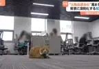 《假裝上班失業辦公室》即便沒有工作也可以來這裡過上朝九晚五的生活