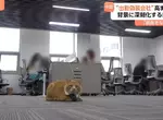 《假裝上班失業辦公室》即便沒有工作也可以來這裡過上朝九晚五的生活