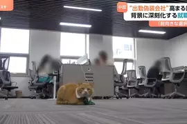 《假裝上班失業辦公室》即便沒有工作也可以來這裡過上朝九晚五的生活 《假裝上班失業辦公室》即便沒有工作也可以來這裡過上朝九晚五的生活