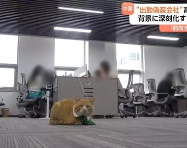 《假裝上班失業辦公室》即便沒有工作也可以來這裡過上朝九晚五的生活