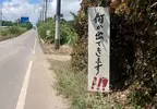 《沖繩神秘警示牌》小心路邊有東西跑出來？所以到底是什麼東西啊？