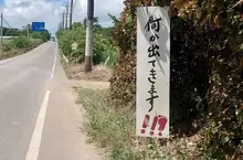 《沖繩神秘警示牌》小心路邊有東西跑出來？所以到底是什麼東西啊？