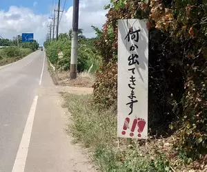 《沖繩神秘警示牌》小心路邊有東西跑出來？所以到底是什麼東西啊？