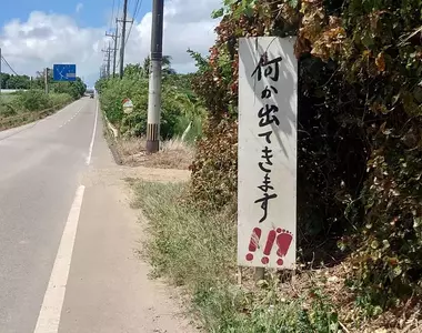 《沖繩神秘警示牌》小心路邊有東西跑出來?所以到底是什麼東西啊?
