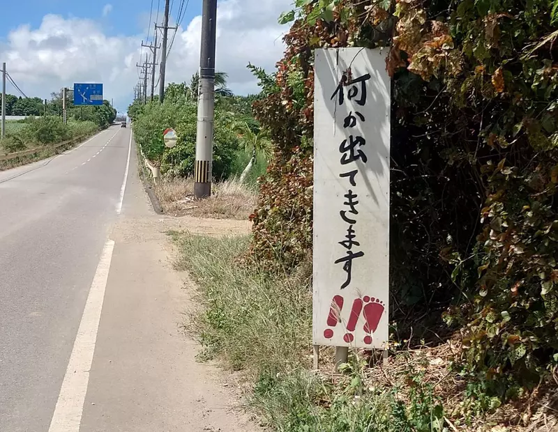 《沖繩神秘警示牌》小心路邊有東西跑出來?所以到底是什麼東西啊? 《沖繩神秘警示牌》小心路邊有東西跑出來?所以到底是什麼東西啊?