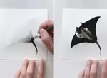 墨色冥想《Inky Meditations》利用水和墨做出令人著迷的渲染藝術創作