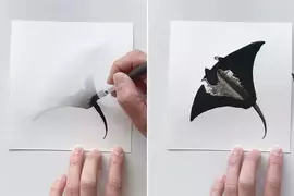 墨色冥想《Inky Meditations》利用水和墨做出令人著迷的渲染藝術創作