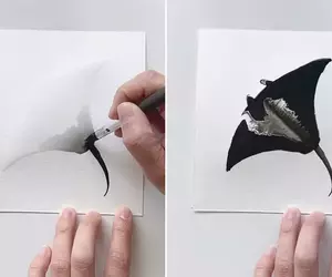墨色冥想《Inky Meditations》利用水和墨做出令人著迷的渲染藝術創作