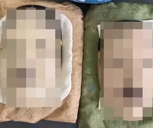 《日本能樂師》在德國機場被攔下來了 這對面具感覺太可疑了嗎？