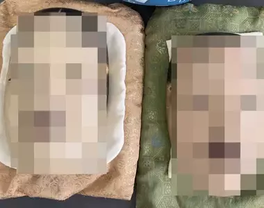 《日本能樂師》在德國機場被攔下來了 這對面具感覺太可疑了嗎?