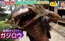 《妖怪聖地福崎町》11年前發現河童出沒 日本各地的妖怪都一起幫忙拚觀光