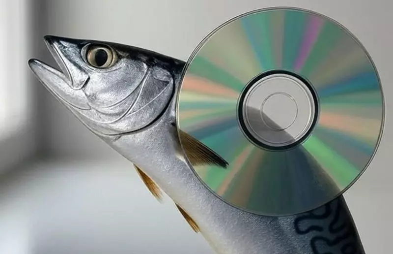 《鯖魚與CD的神祕關聯》鯖魚捕得多CD就會賣得好?日本網友分析其中的相關性 《鯖魚與CD的神祕關聯》鯖魚捕得多CD就會賣得好?日本網友分析其中的相關性