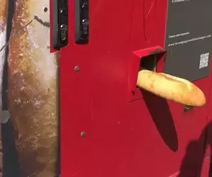 網友實拍《法國麵包販賣機》確定沒有工讀生躲在裡面伸出長長的一根嗎？