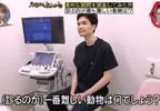 日本節目調查《站在獸醫的角度什麼動物最難看診？》看病過程難度最高的動物是...？