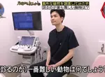 日本節目調查《站在獸醫的角度什麼動物最難看診？》看病過程難度最高的動物是...？