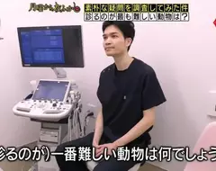 日本節目調查《站在獸醫的角度什麼動物最難看診？》看病過程難度最高的動物是...？