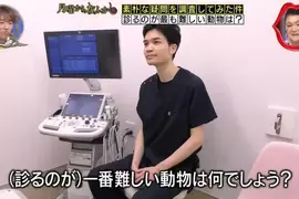 日本節目調查《站在獸醫的角度什麼動物最難看診?》看病過程難度最高的動物是...? 日本節目調查《站在獸醫的角度什麼動物最難看診?》看病過程難度最高的動物是...?