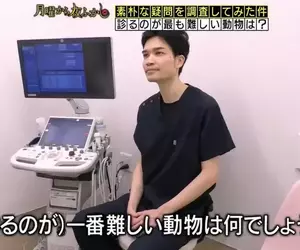 日本節目調查《站在獸醫的角度什麼動物最難看診？》看病過程難度最高的動物是...？