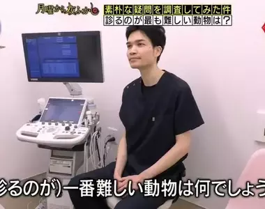日本節目調查《站在獸醫的角度什麼動物最難看診?》看病過程難度最高的動物是...?