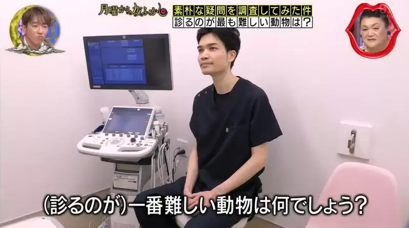 日本節目調查《站在獸醫的角度什麼動物最難看診?》看病過程難度最高的動物是...? 日本節目調查《站在獸醫的角度什麼動物最難看診?》看病過程難度最高的動物是...?