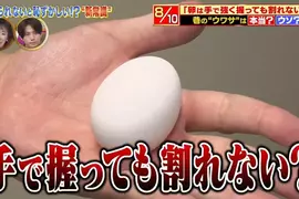《雞蛋用手捏不破》電視節目分享冷知識 日本網友照著做結果悲劇了…… 《雞蛋用手捏不破》電視節目分享冷知識 日本網友照著做結果悲劇了……