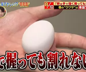 《雞蛋用手捏不破》電視節目分享冷知識 日本網友照著做結果悲劇了……