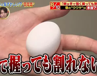《雞蛋用手捏不破》電視節目分享冷知識 日本網友照著做結果悲劇了……