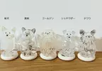 扭蛋商品《寵物毛毛收納器》除了先前的貓咪版外狗狗版也將在12月份登場