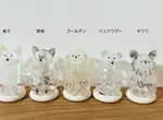 扭蛋商品《寵物毛毛收納器》除了先前的貓咪版外狗狗版也將在12月份登場