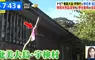 《日本離島神秘習俗》路邊出現綁著粉紅布條的棒子？其實這是讓你保命的用心棒